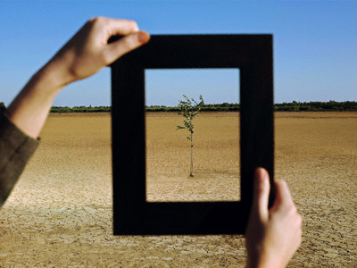 Woman Framing Tree in Desert