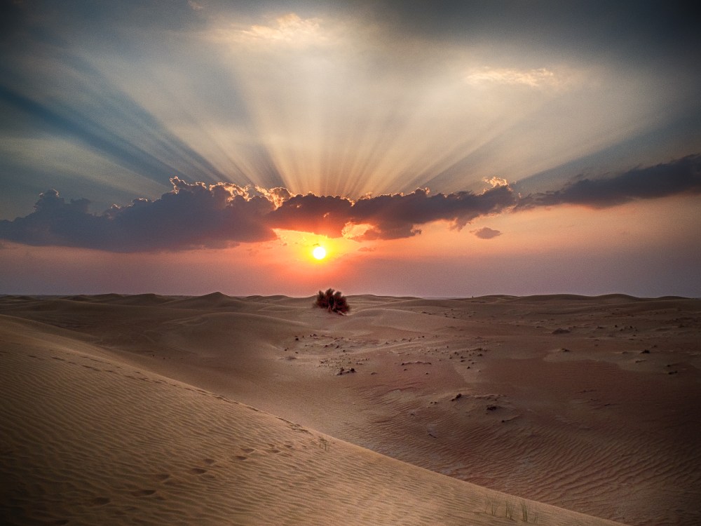 Rebirth and renewal are all part of writing.